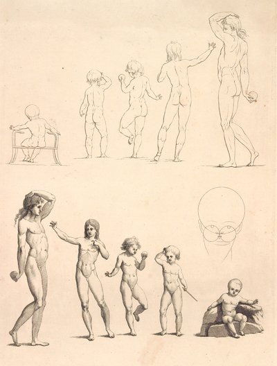 Les âges de l