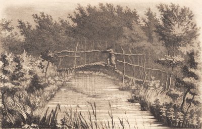 Partie du jardin de Sanderumgaard - J.F. Clemens