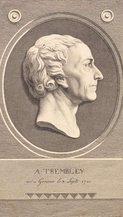 Médaillon en relief avec portrait du zoologiste Abraham Trembley - J.F. Clemens
