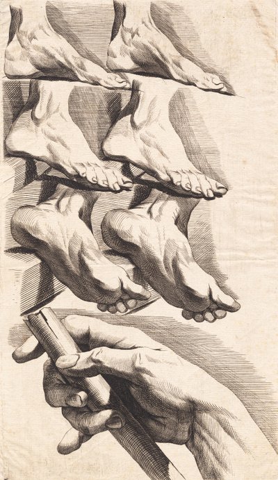 Feuille d