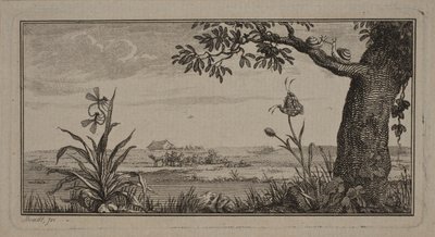 Vue sur un paysage plat, au premier plan une plante avec des insectes et un arbre avec des escargots - J.F. Clemens