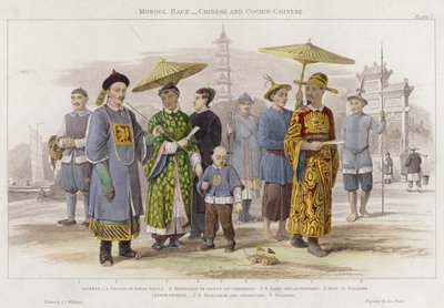 Race mongole, chinoise et cochinchinoise - J.L. (after) Williams