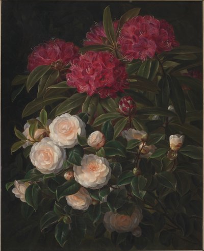 Camélias et rhododendrons - J.L. Jensen