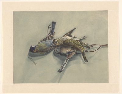Nature morte avec trois oiseaux morts - J.N. Landré (signed by artist)