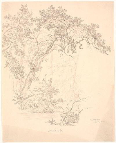 Arbres - J.P. Møller