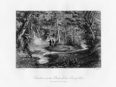 Hirondelles sur les rives de la rivière Mole, Surrey, 19e siècle - J. Archer