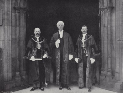 Présentation de pétitions à la Chambre des communes - J. Benjamin Stone