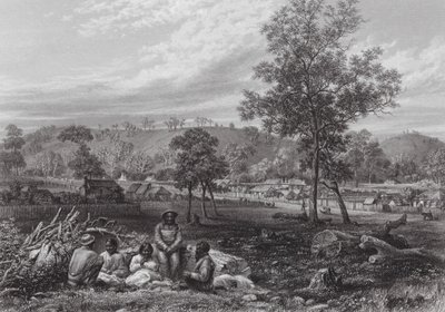Australie : Mont Laura, Camperdown - J. C. Armytage