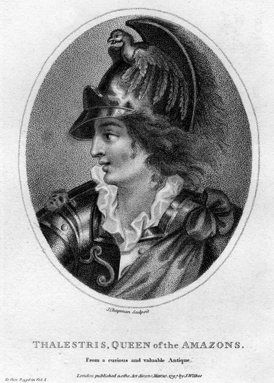 Thalestris, reine mythique des Amazones - J. Chapman