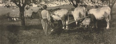 Équipe de labour - J. Craig Annan