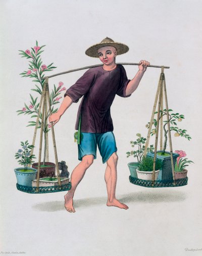 Un porteur avec des arbres fruitiers et des fleurs, Chine - J Dadley
