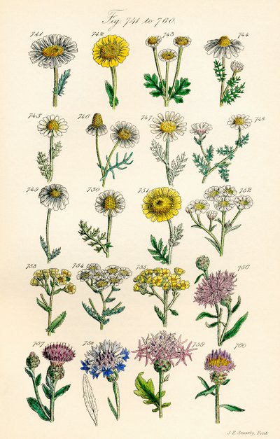 Page d