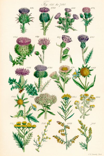 Page d