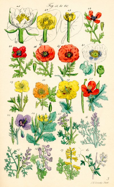 Page d