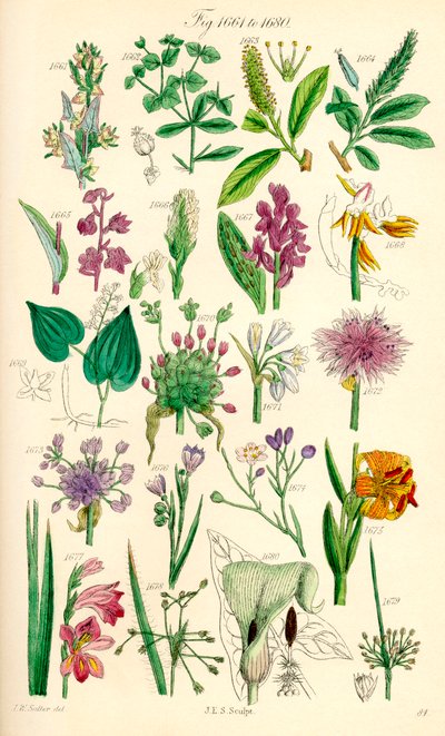 Page d