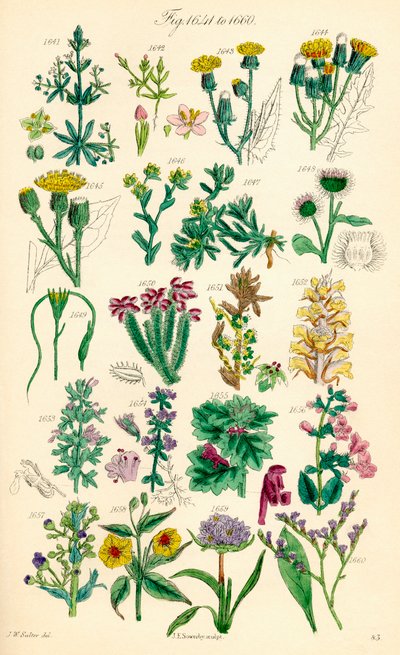 Page d