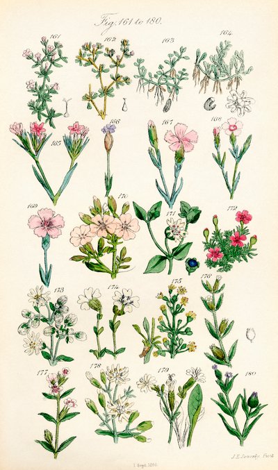 Page d
