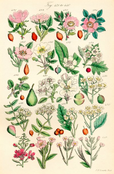Page d