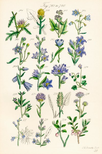 Page d