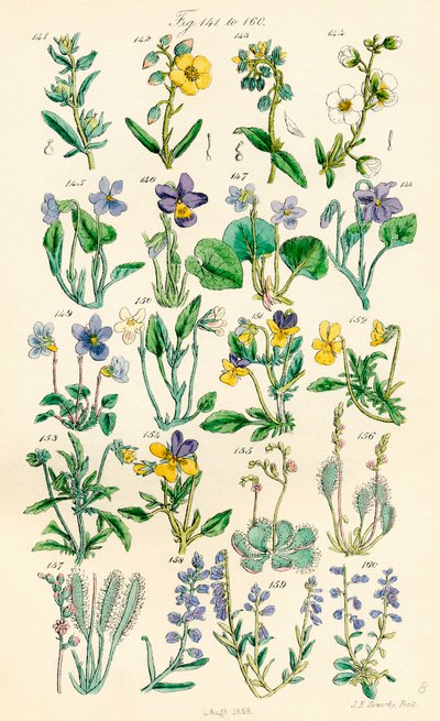 Page d