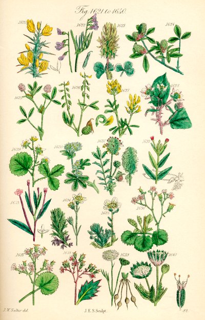 Page d