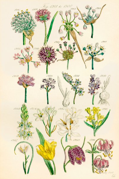 Page d