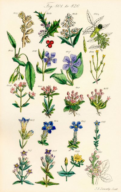 Page d