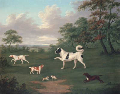 Chiens de chasse dans un paysage - J. Francis Sartorius