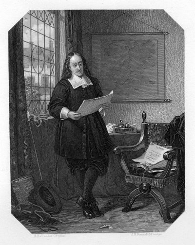 Johan de Witt, homme d
