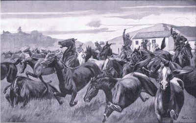 Les Boers pillant le dépôt de remonte à Braamfontein, d