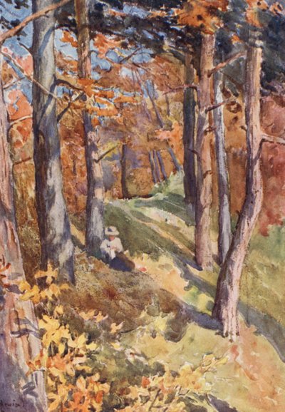 Dans la forêt de Sauvabelin, au-dessus de Lausanne - J. Hardwicke Lewis