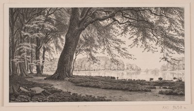 Après-midi de printemps au lac Fuglesang à Dyrehaven - J. Hildebrand