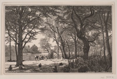Paysage forestier du Jutland - J. Hildebrand