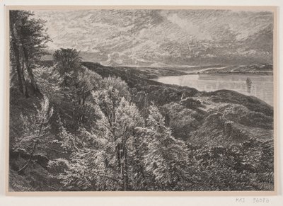Vue de Munkebjerg sur le fjord de Vejle - J. Hildebrand