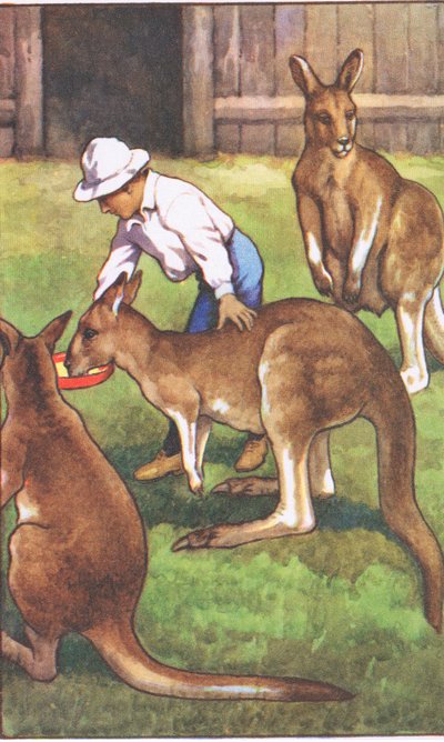 Garçon australien, des affiches scolaires de MacMillan, vers 1950-60 - J. Macfarlane