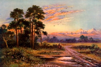 Coucher de soleil d