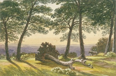 Hampstead Heath, Londres, vers 1830 - J Powell