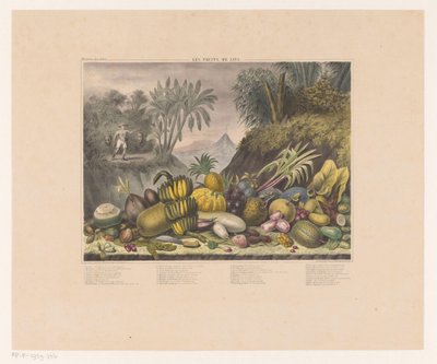 Fruits javanais - J. Schnell