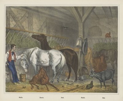 Écurie - J. Scotti