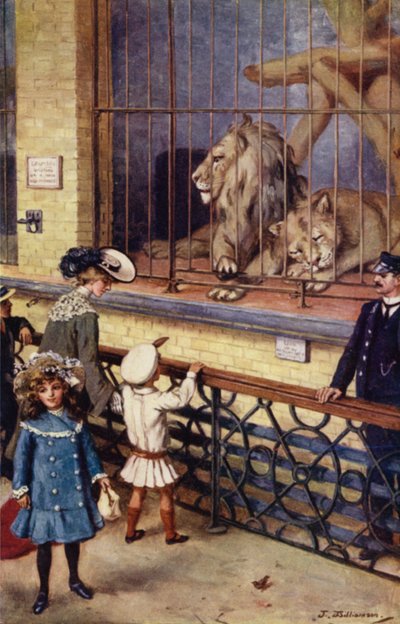 Dans la maison des lions au zoo - J. Williamson