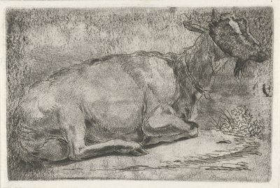 Chèvre couchée - Jabes Heenck