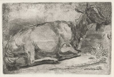 Chèvre couchée - Jabes Heenck
