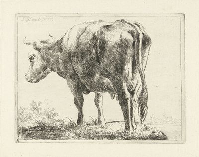 Vache debout - Jabes Heenck