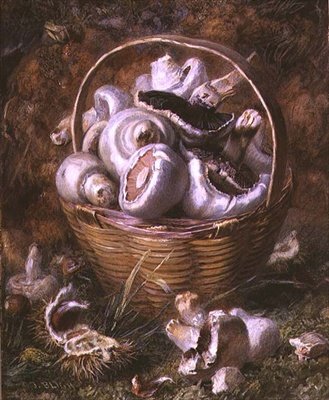 Champignons - Jabez Bligh