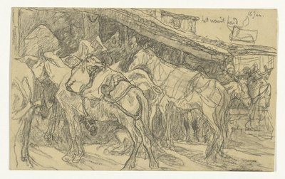 Mulets et ânes sur la Grande Place de Tanger - Jac van Looij