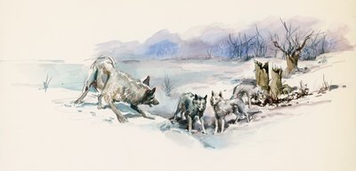 Meute de loups, du roman d