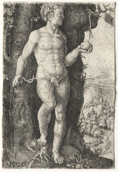 Adam - Jacob Binck