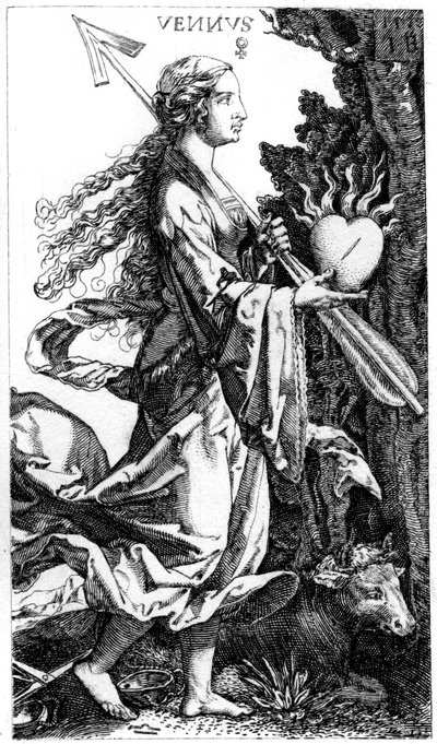 Vénus - Jacob Binck
