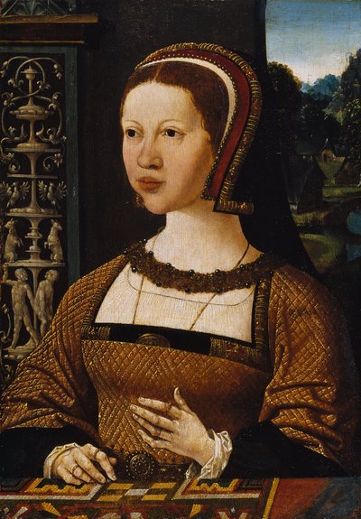 Néerlandais : Portrait d