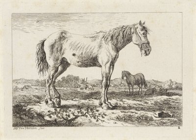 Cheval debout dans un paysage - Jacob Elias van Varelen